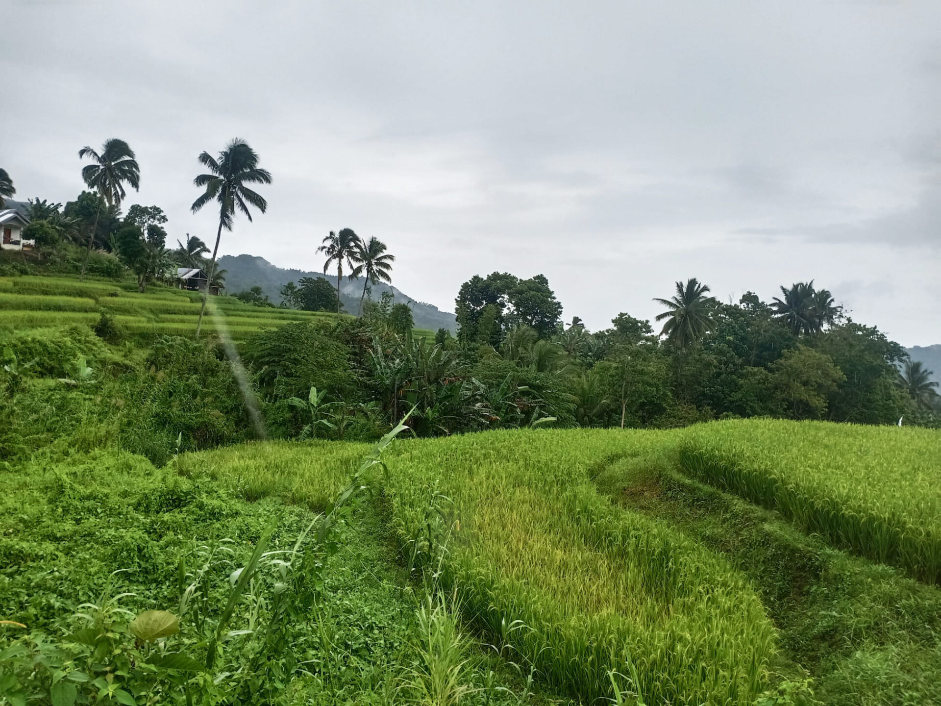 Philippines 2 Days Cebu Island Cycling Tour